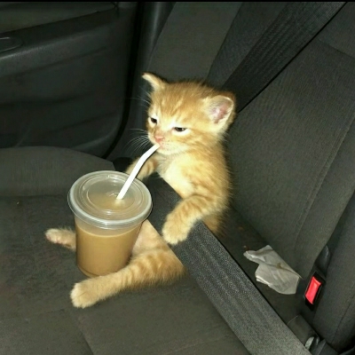 ꧁瓜瓜꧂