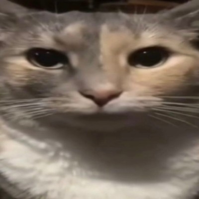 阿苍