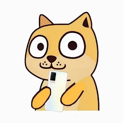 随你便