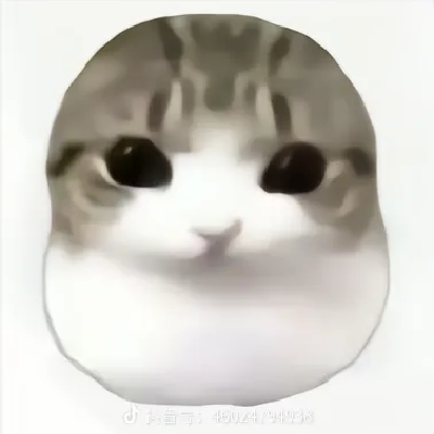 荏苒沧海过今朝