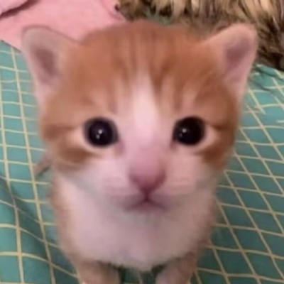 ^_^