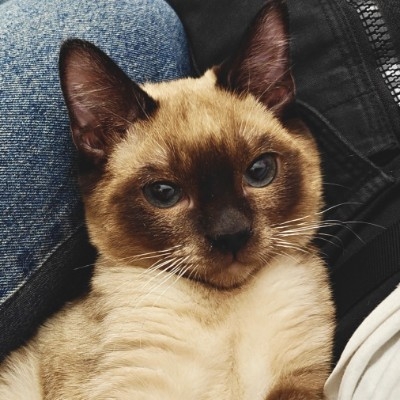 自洽度99.9%的浪花