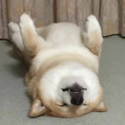 南山有梦