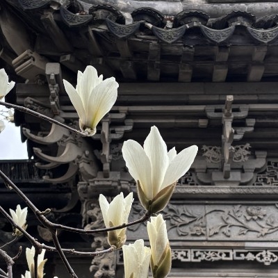 Ting