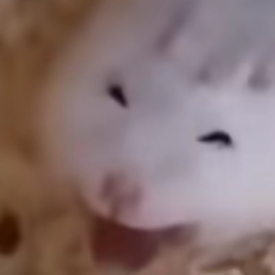 黑白小姐天下第一