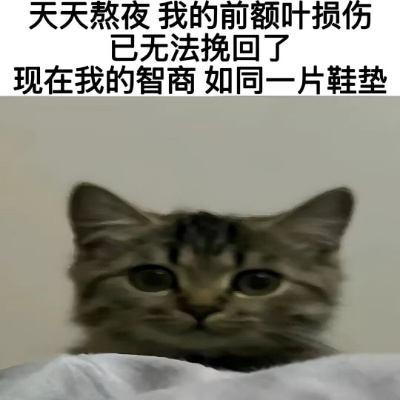 你好