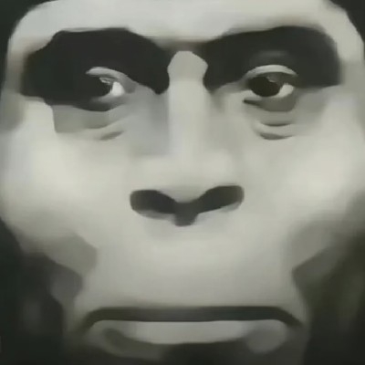 一个一个大笛客