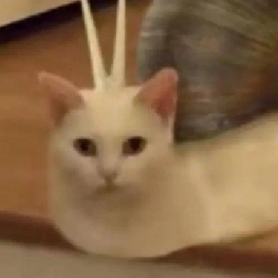 用户39247788
