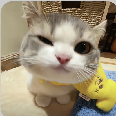 单身一辈子
