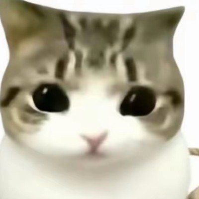 爱竹玖