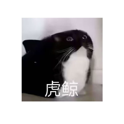 冲龙玉