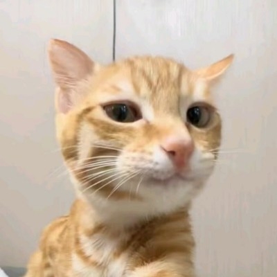 。。。