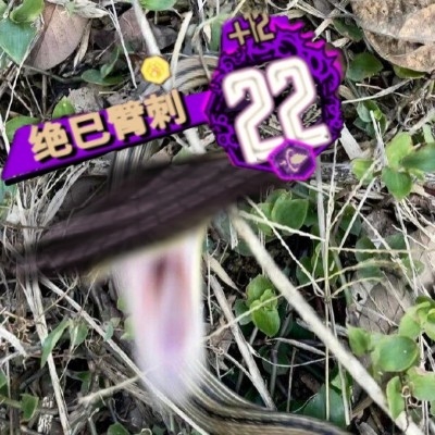 辛克莱