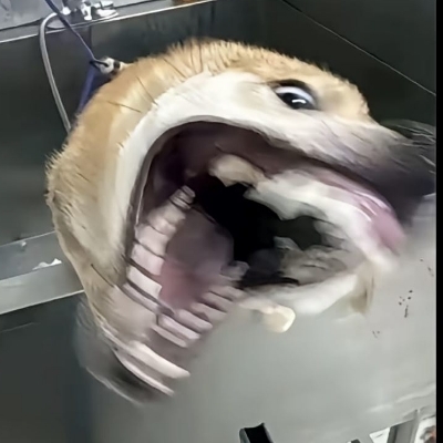 轻雨