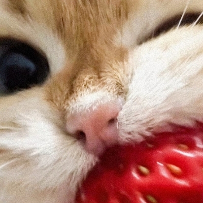 素裳裳