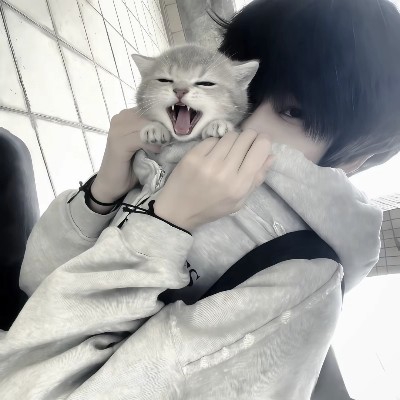 齐鲁