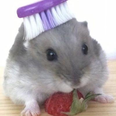 叮林林