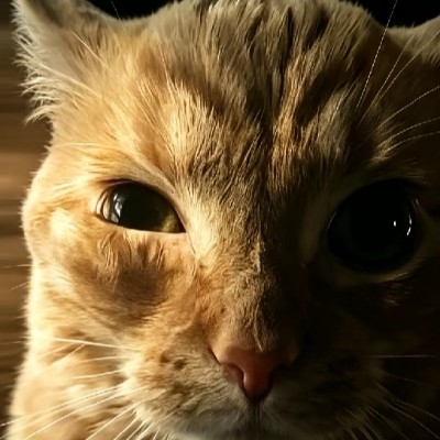 鲤