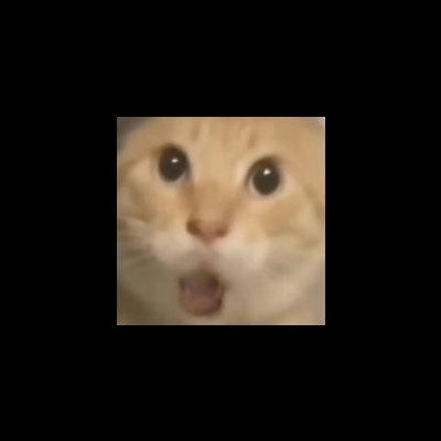 笙鸢