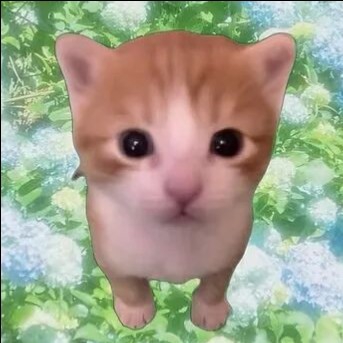 thecat