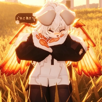 klr的dog