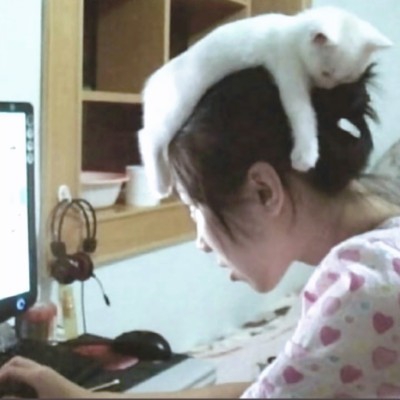 一头扎进莎子里