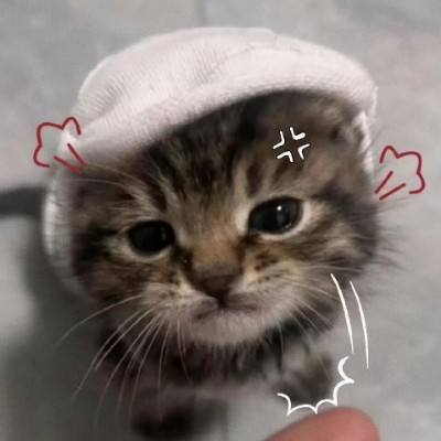 摆烂小鱼^