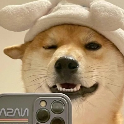 寂寞杨