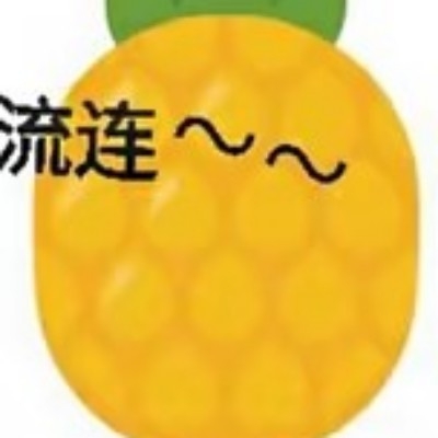 流连菠萝