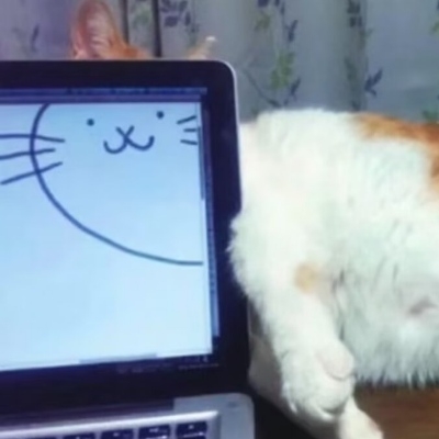 咪
