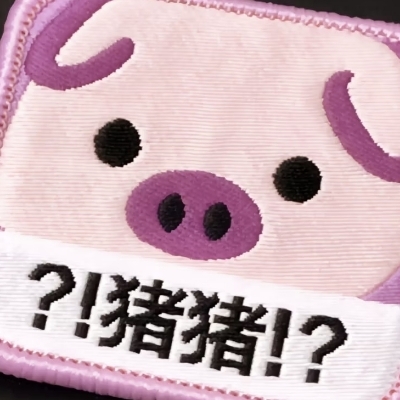 一般路过巴士玩家