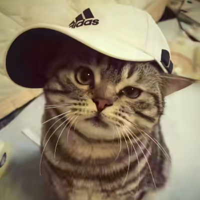 小赵Vov