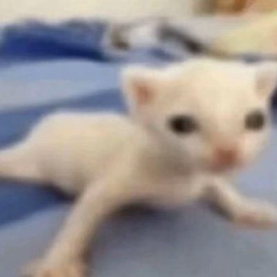 ?