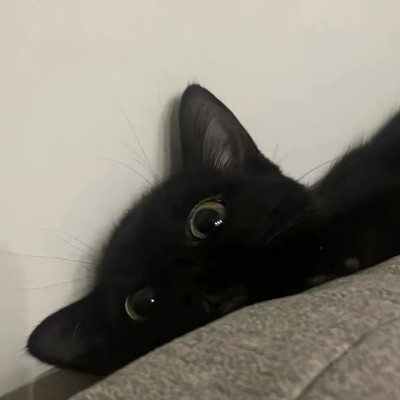 胡萝卜