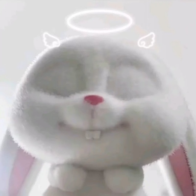 执悟