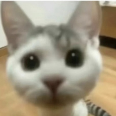 用户40665274