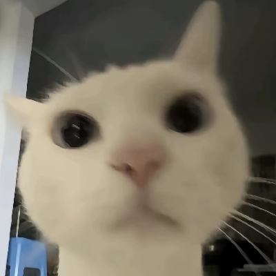 豆子