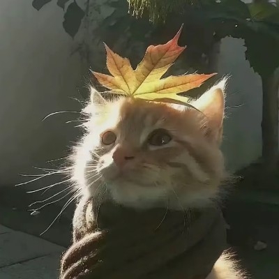 笑貌