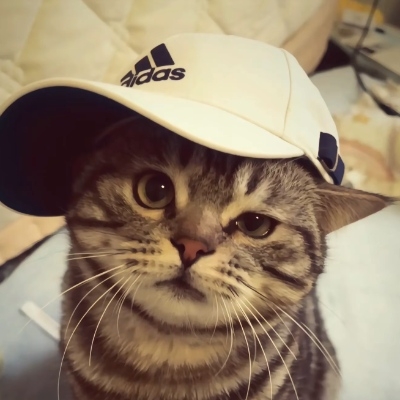 不嘻嘻