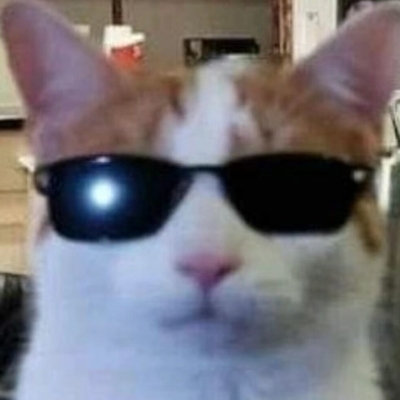 二狗不笑猫