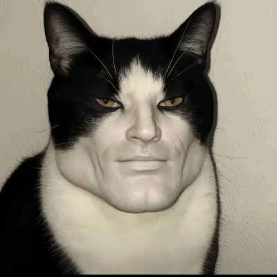 素衣莫起风尘叹