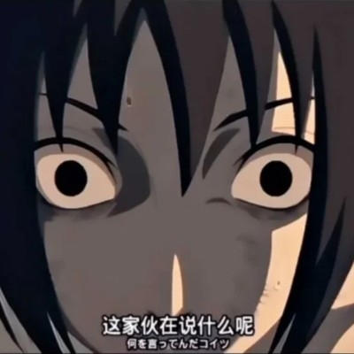 朱槿