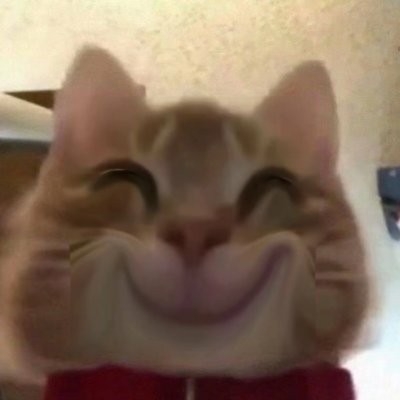李卿侠