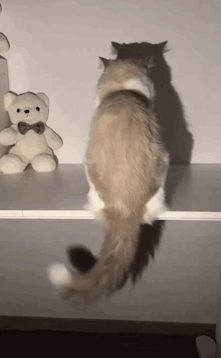 盘点近期网络热梗：魔性休闲手游《疯狂的鸽子》 pigeonpop_图3