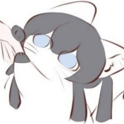 貉